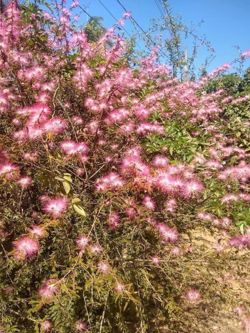 Chale Aconchegante Em Estancia Climatica Santo Antônio do Leite 外观 照片
