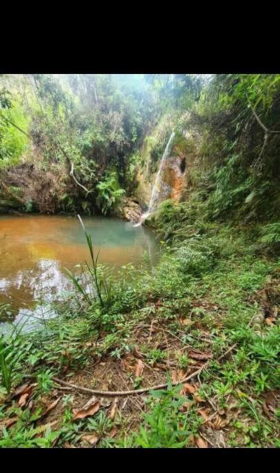 Chale Aconchegante Em Estancia Climatica Santo Antônio do Leite 外观 照片