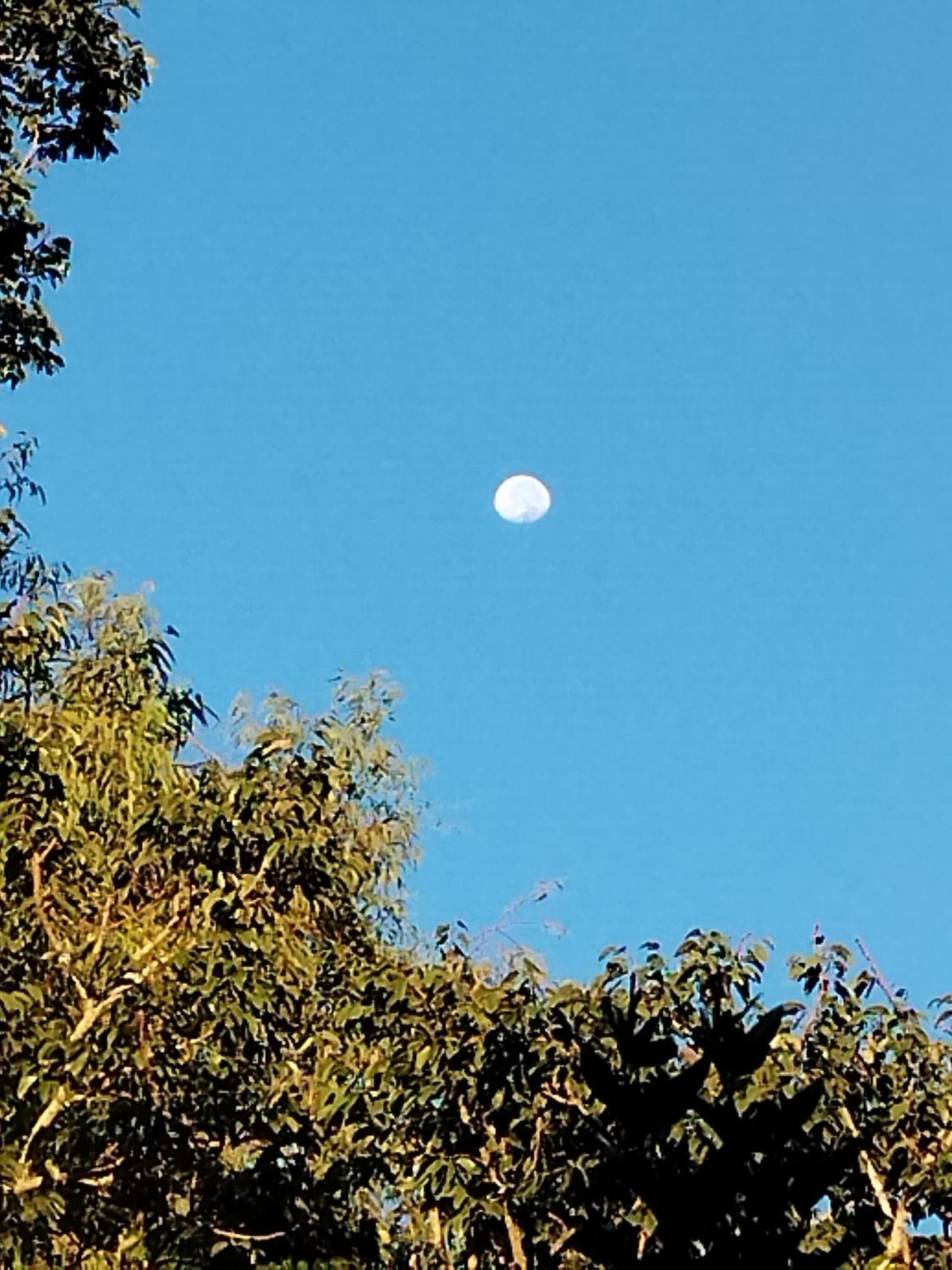 Chale Aconchegante Em Estancia Climatica Santo Antônio do Leite 外观 照片